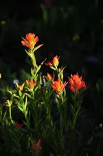 MPB_2451_zps7zxqvhwu.webp