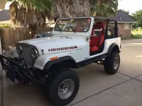 HedgeHog%20Jeep_zps0bqfebb5.webp