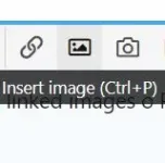 Insert Image