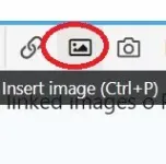 Captureinsertimage.webp