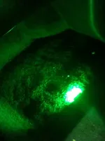 LED green.webp
