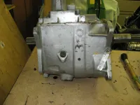 clean tranny 001.webp