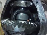 jeep 002.webp