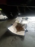 Oil Leak 2.webp
