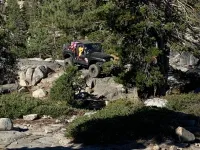 107.webp