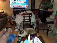 20201009_162909.jpg