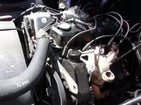 100_0155.webp