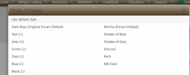 changeskin2.webp