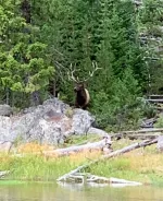 D01632E6-E412-4677-8A90-28688BD0BAB7.jpeg