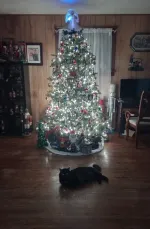 2022-12-21_073400.jpg