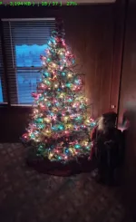 2022-12-21_073728.jpg