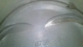 #4 Piston scope.webp