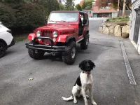 1979 CJ7.webp