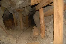 Surprise mine.webp