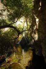Darwin falls.webp