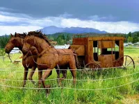 6b6310820de872705bdc0c3c57da830a.webp