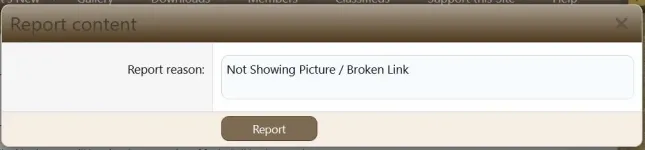 rep2.webp