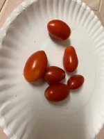 04550351-28AD-4F31-B1FA-E318040EBBC1.jpeg