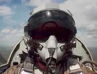flywarbird.webp