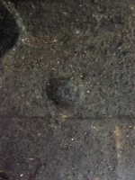 9EtjKiK.webp
