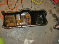 PA020047.webp