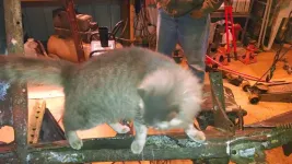 IMG_20131216_210053975.webp