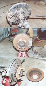 reardisc1.webp
