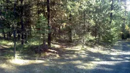 2011-10-2914-01-3362-M.webp