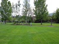 306638925_2opHA-M.webp