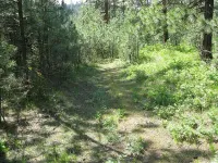 306639518_CMFCt-M.webp