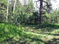 306639626_ayC7Q-M.webp