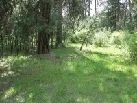 306639025_4nbSv-M.webp