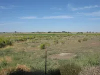 362332645_zh3py-M.webp