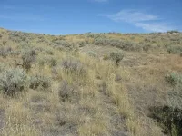 362332860_YFBW9-M.webp