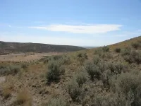 362332864_95QVX-M.webp
