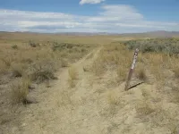362333109_ctE5k-M.webp
