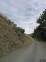 362333305_fhzJp-M.webp