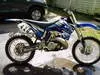 yz2.webp