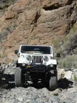 Black Cyn 3.webp
