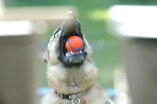 DSC_0003.webp