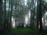 DSCF2823.GIF