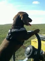 6545606583_3c7a1c752c_z.webp