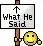 what_he_said.webp