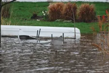 unsinkable-canoe-sue-boldt.webp