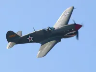 p40.webp