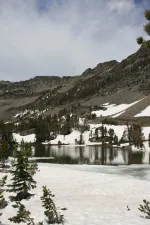14409491747_67718d357d_b.webp