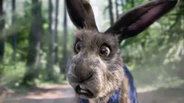 ab489%2F201491157%2Fmercedes-benz-superbowl-rabbit.webp