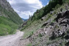 20204419941_3d1bb622b0_z.webp