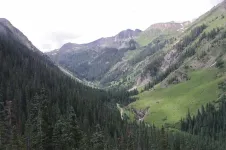 20010645888_0fc7113f18_z.webp