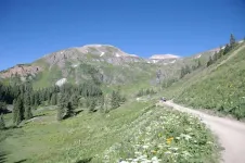 19576487654_ce06f6ed79_z.webp
